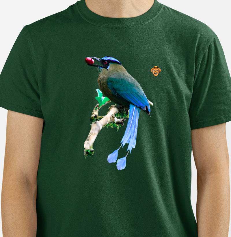 Momoto-de-sobrancelha-azul