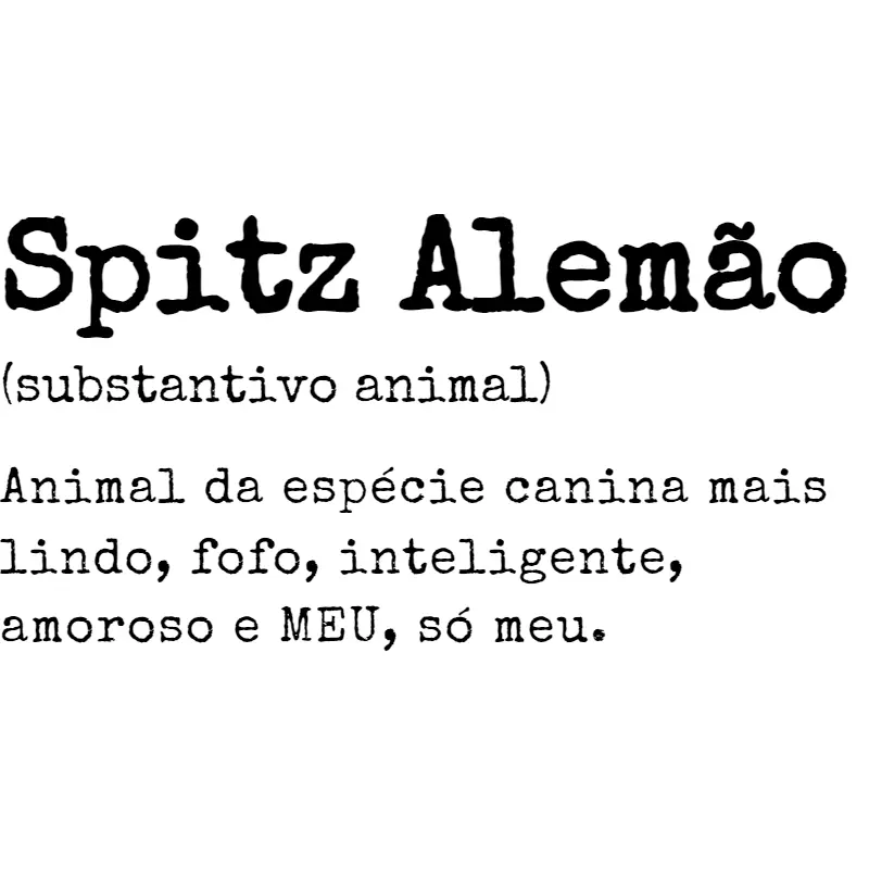 Spitz Alemão s.a. 04