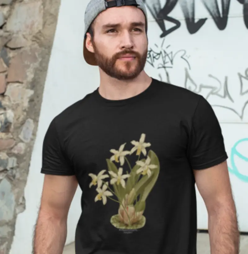 Camiseta Hoffmannseggella (Laelia) longipes