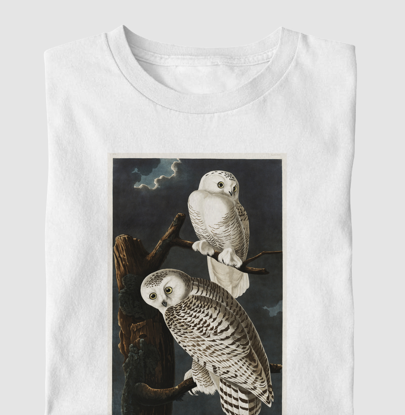 Snowy Owl