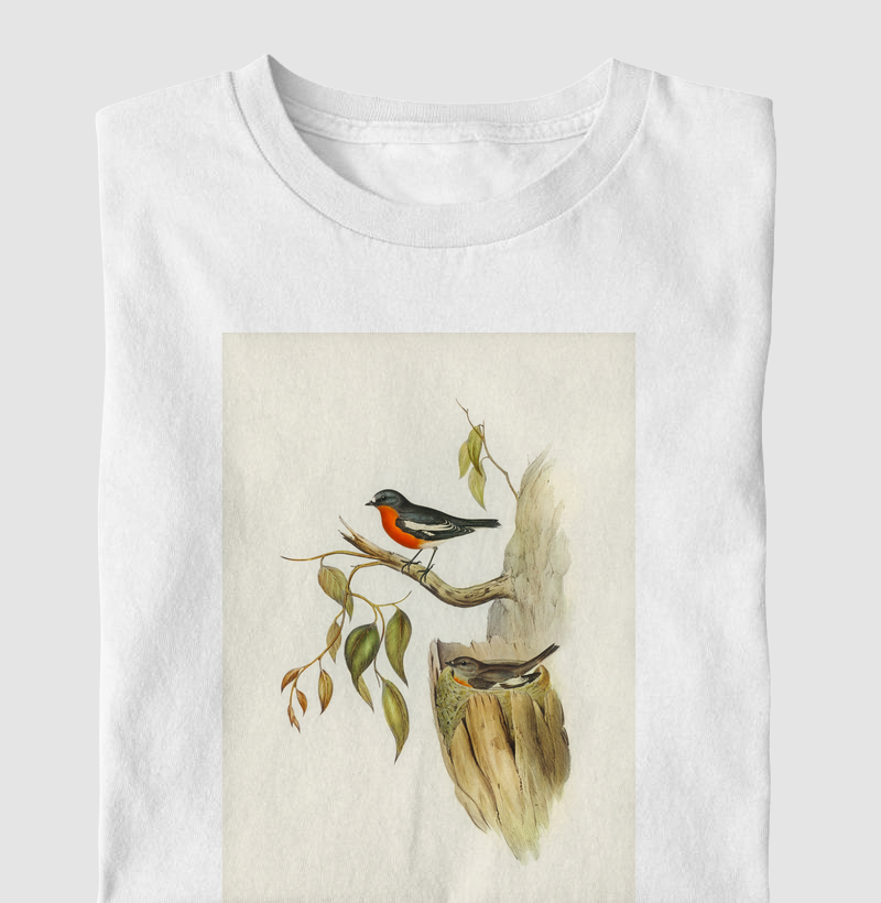 Flame-breasted Robin