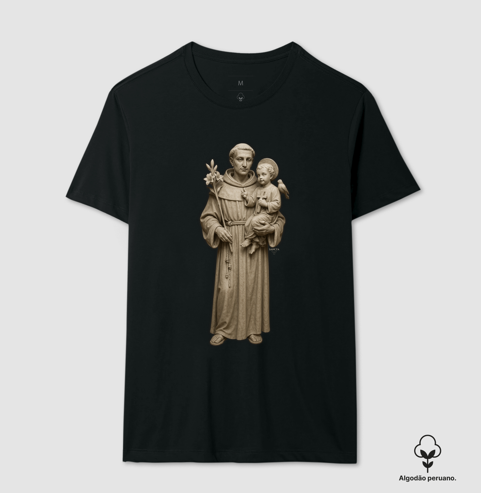 Santo Antônio de Pádua