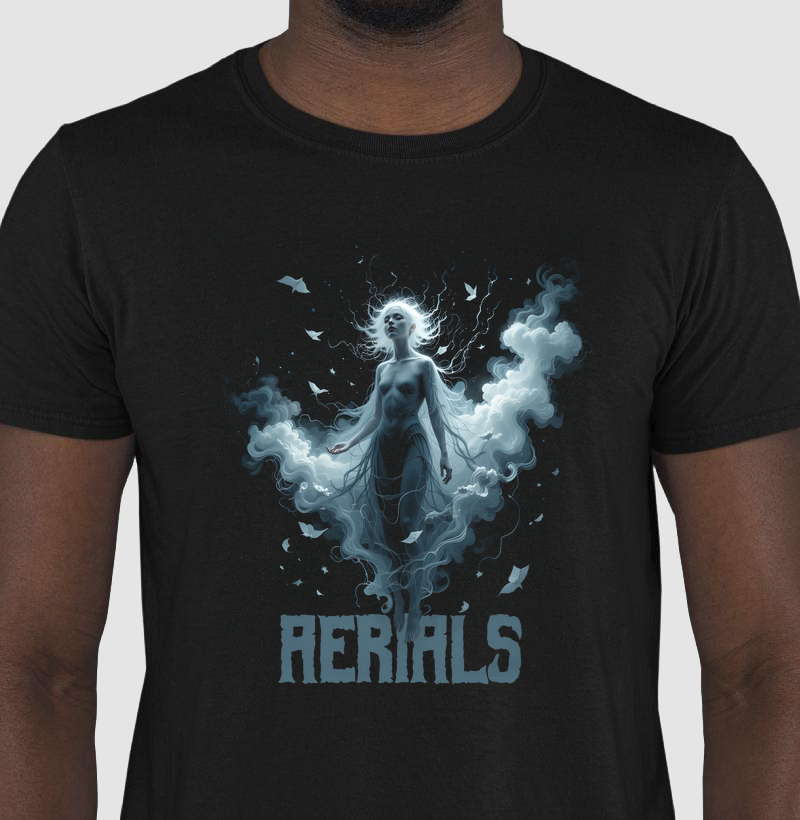 Camiseta Aerials