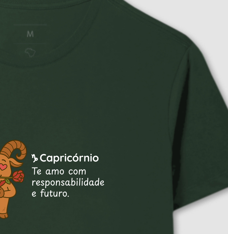Capricórnio - te amo com responsabilidade e futuro