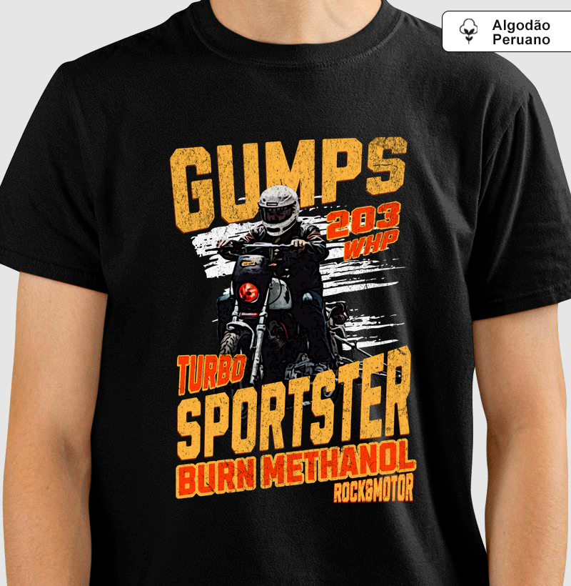 Sportster Turbo