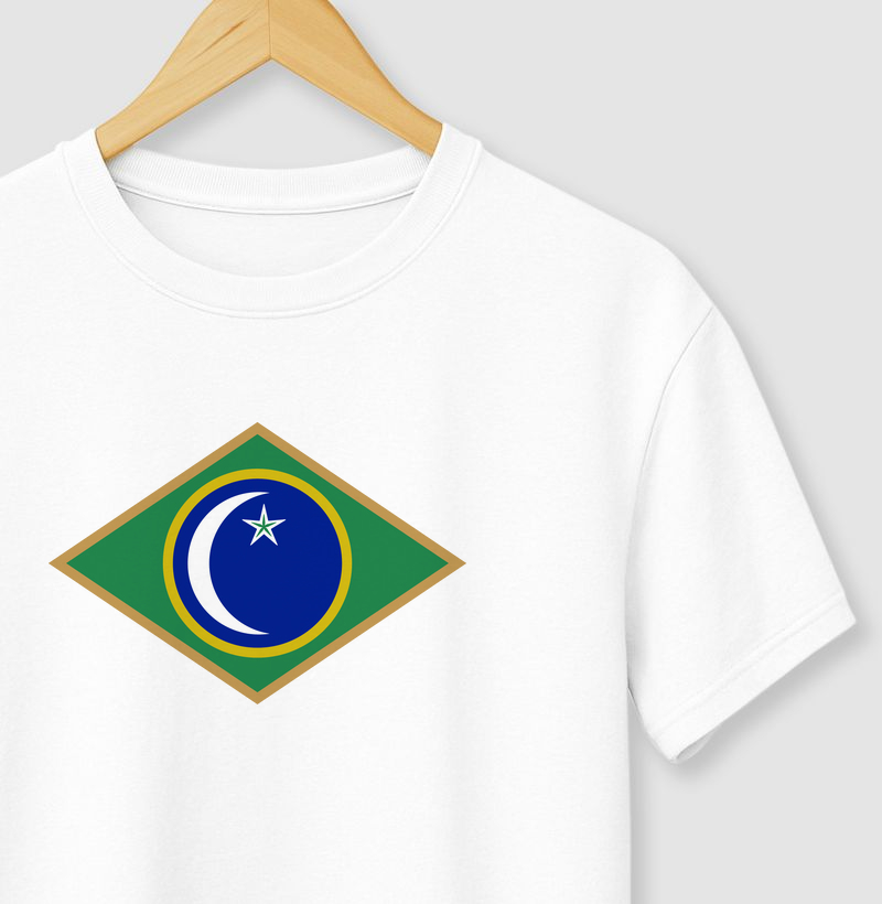 Bandeira Santa Maria 