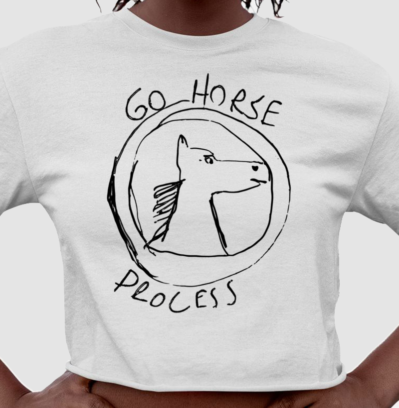 Meme "Go Horse Process"