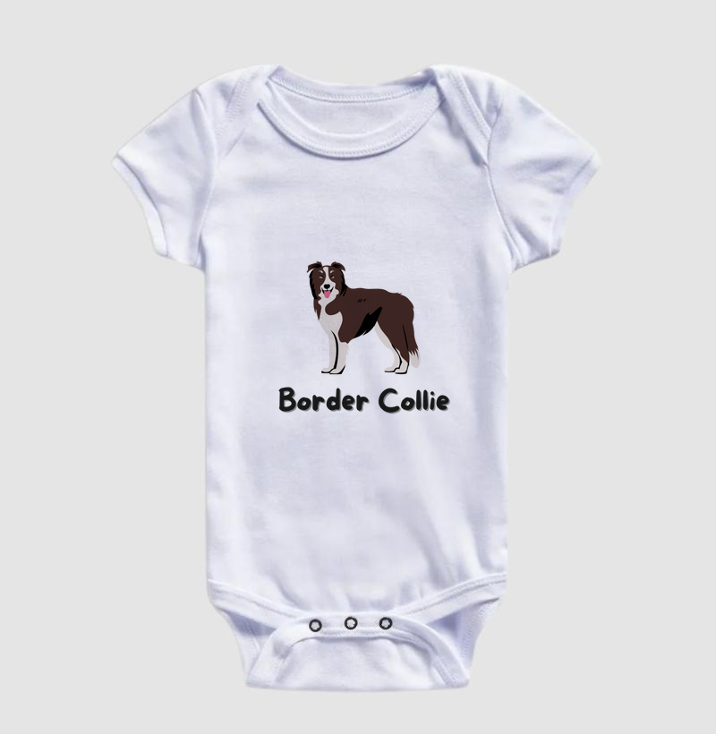 Border Inteligente