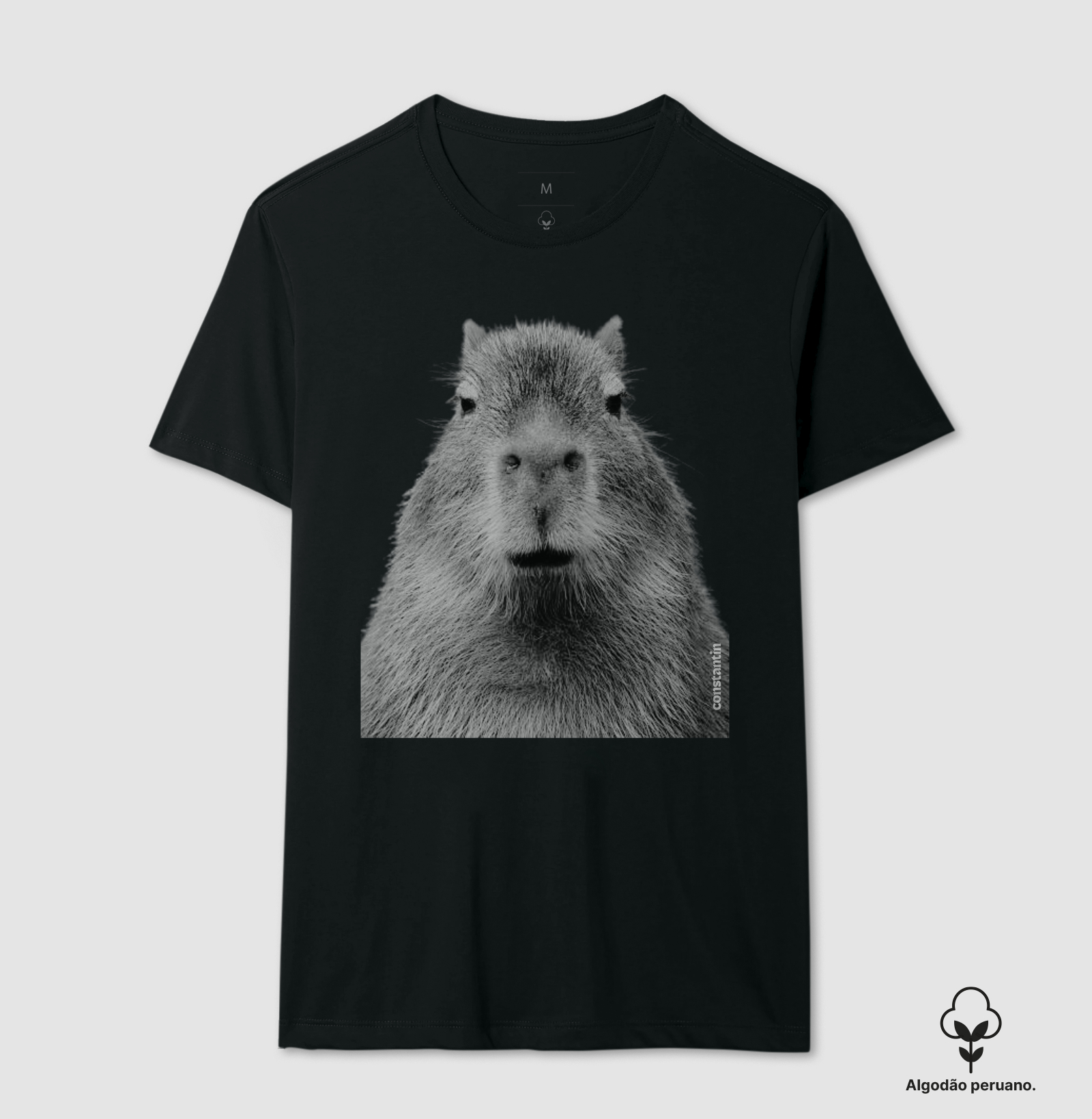 Capivara