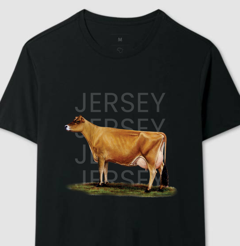 Jersey 3.0