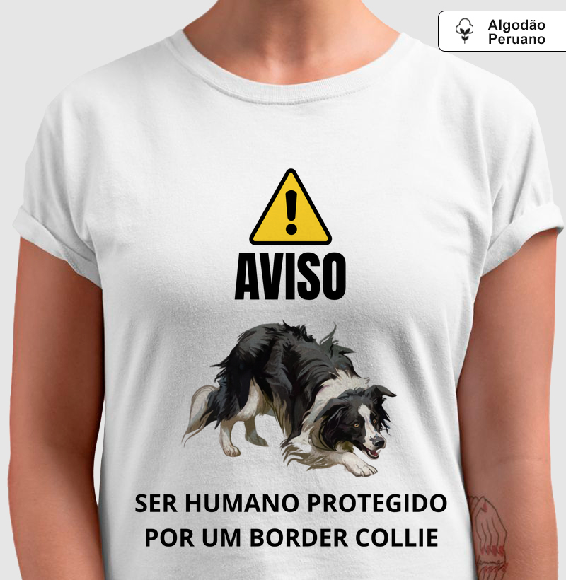 Atenção! Ser humano protegido por um border collie