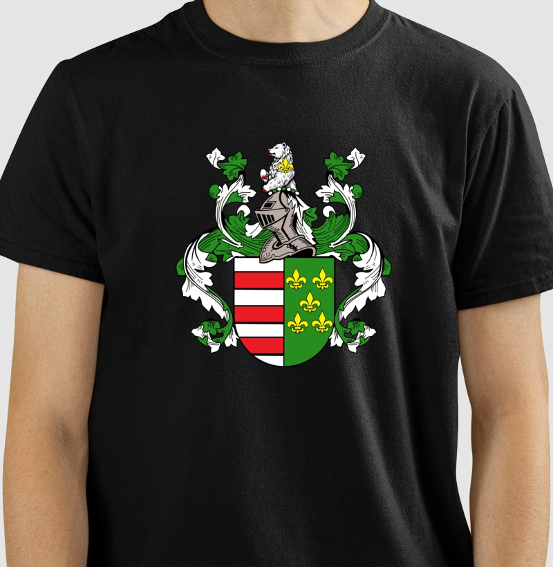 Brasão da Família Silveira Mota