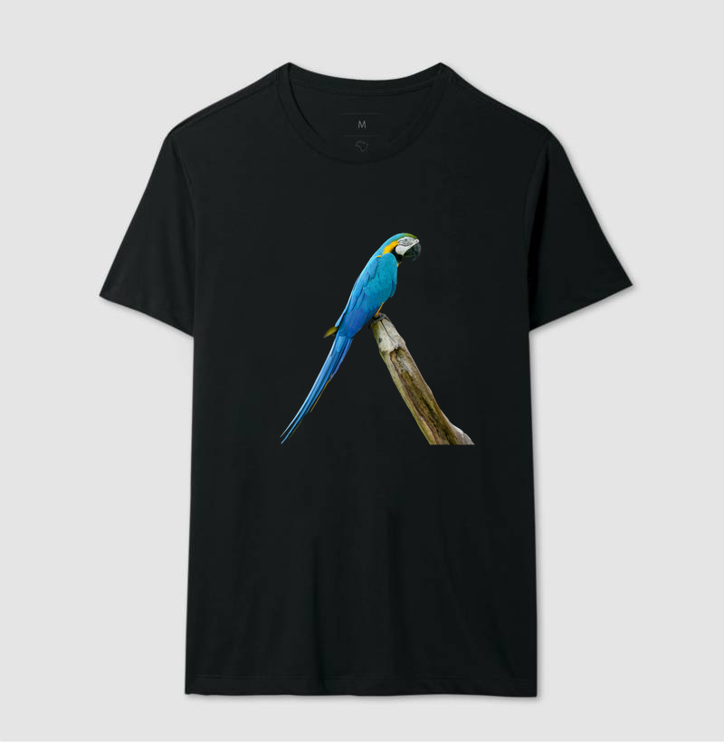 Arara-Azul