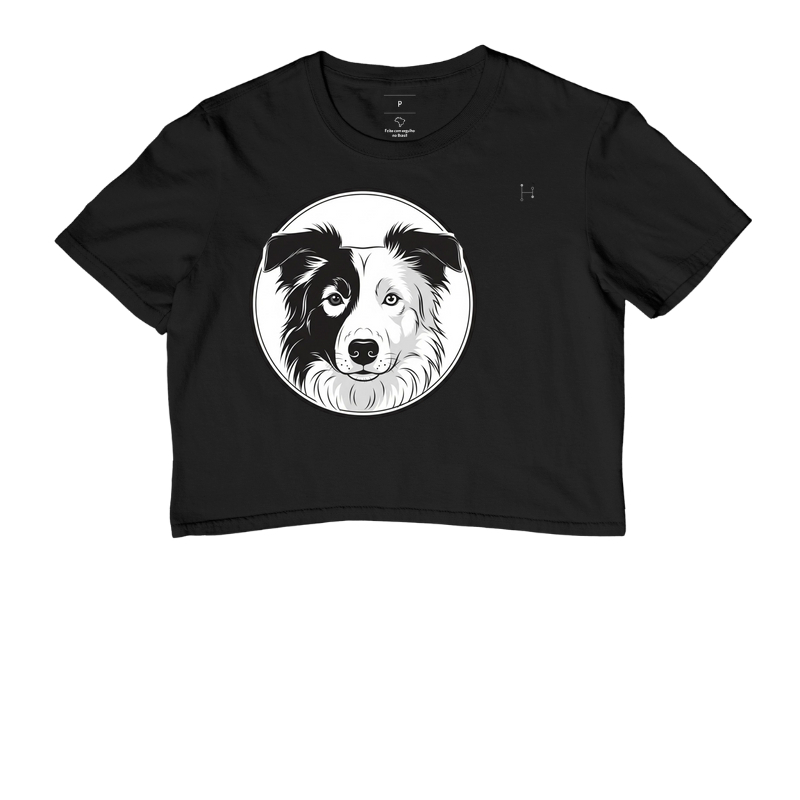 Border Collie - Parceria Pet Raiz