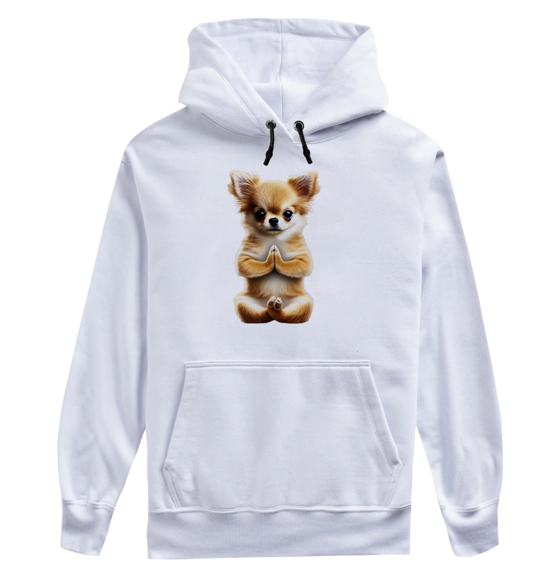 Chihuahua Gratidão