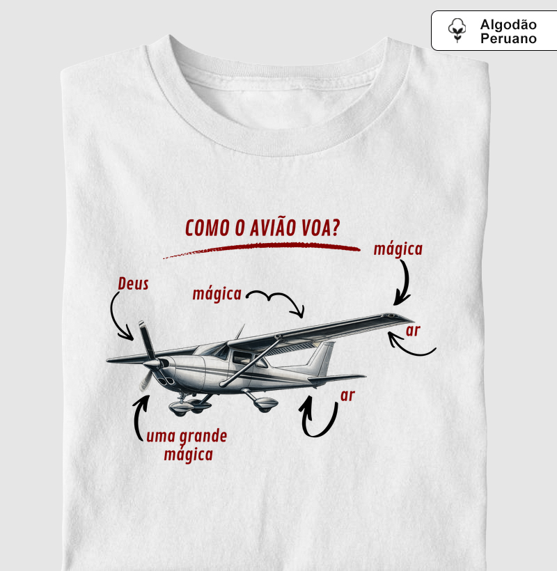 Como o avião voa?