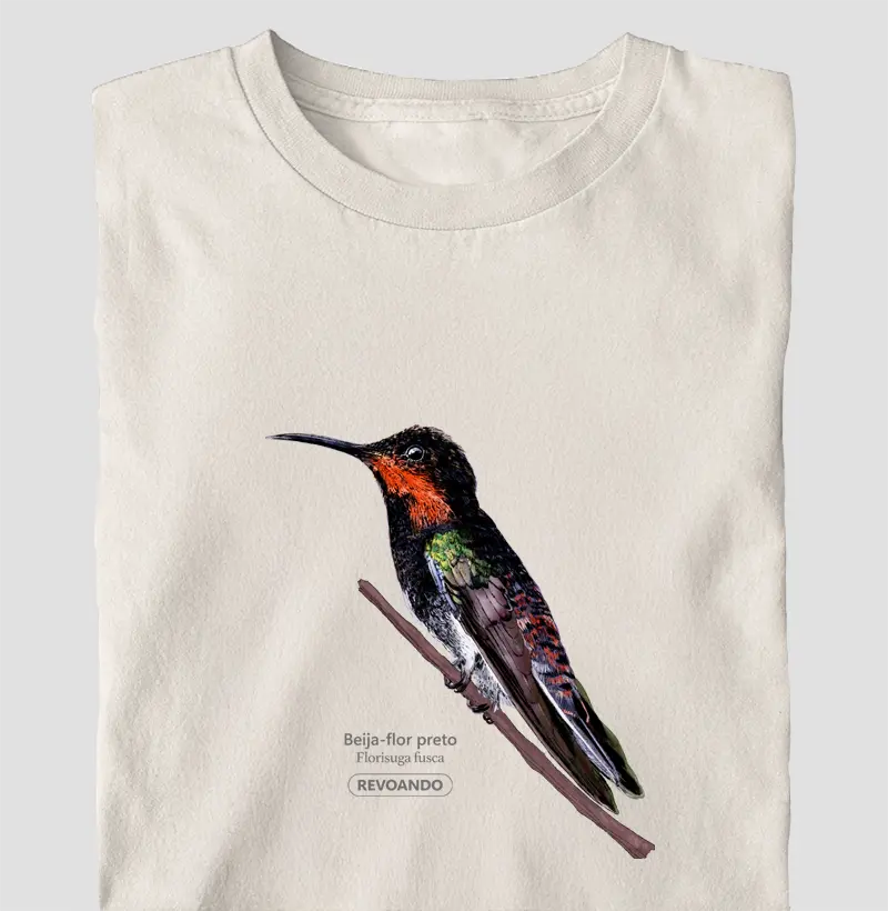 Aves do Brasil - Beija-flor-preto - Oversized