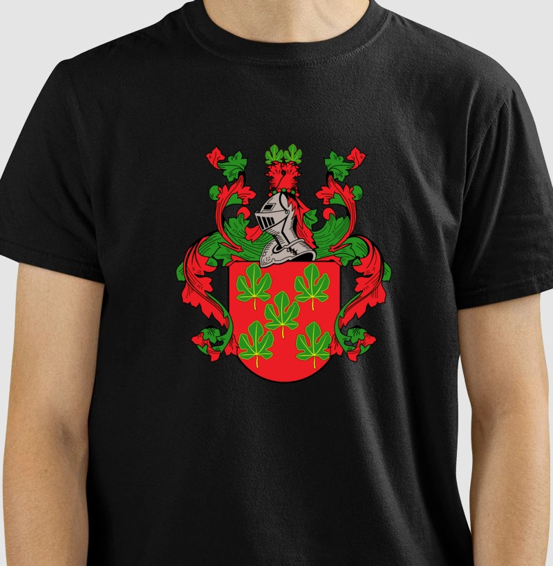 Brasão da Família Figueiredo