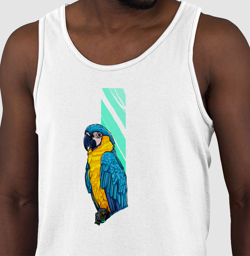 Regata A Arara Canindé