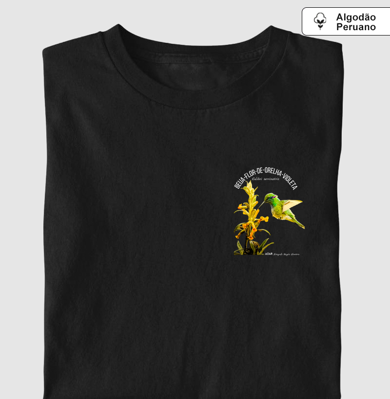 Aves da mata atlântica com Magela Eleutério BEIJA-FLOR-DE-ORELHA-VIOLETA 
