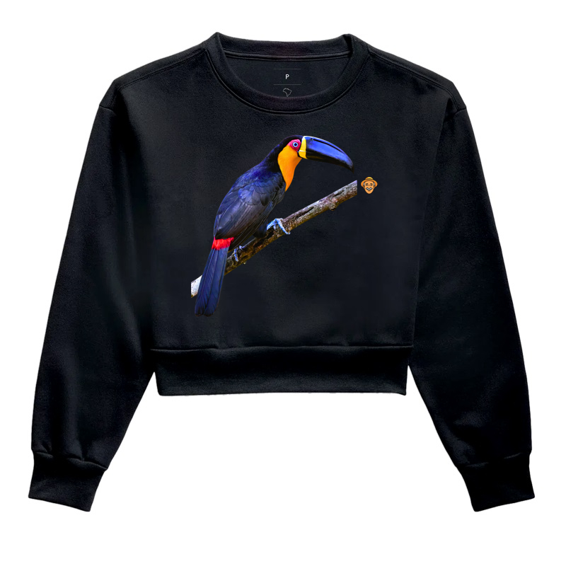 Tucano-de-bico-preto