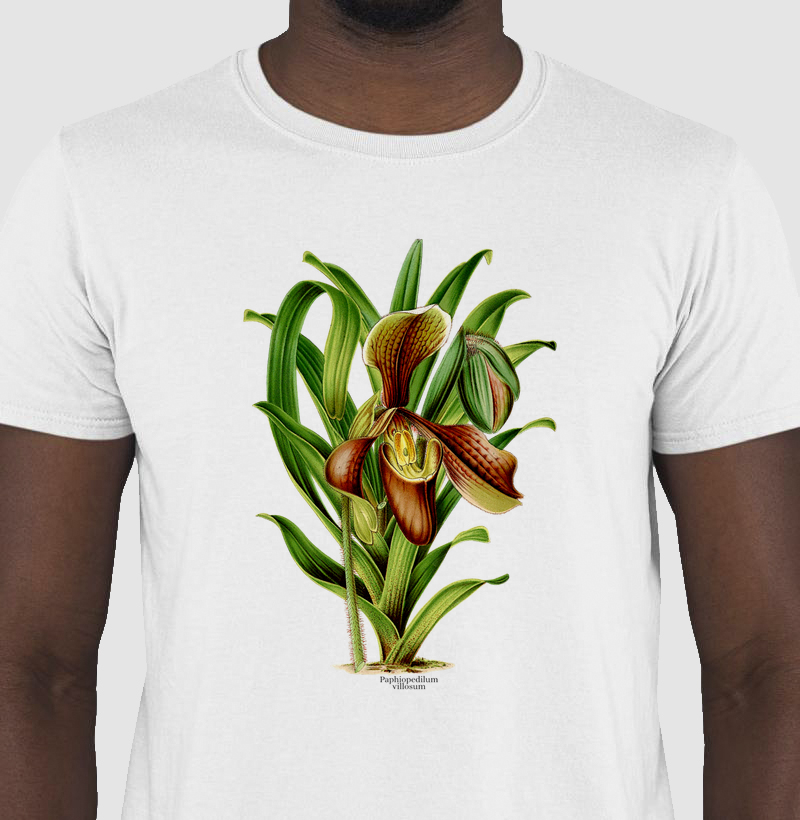 Camiseta Paphiopedilum villosum