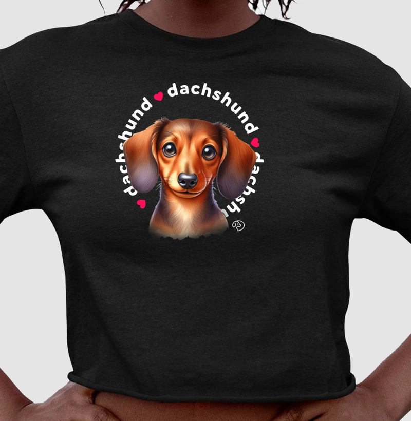 Dachshund Puppy