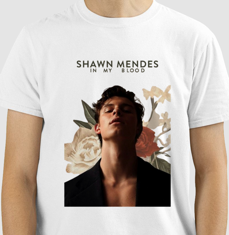 Shawn Mendes - My Blood