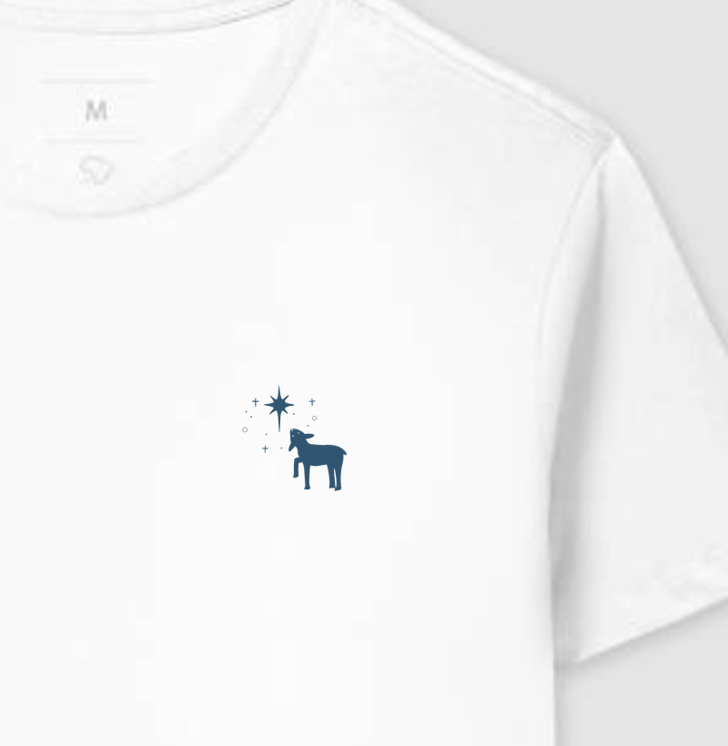 CORDEIRO DE DEUS MINIMAL