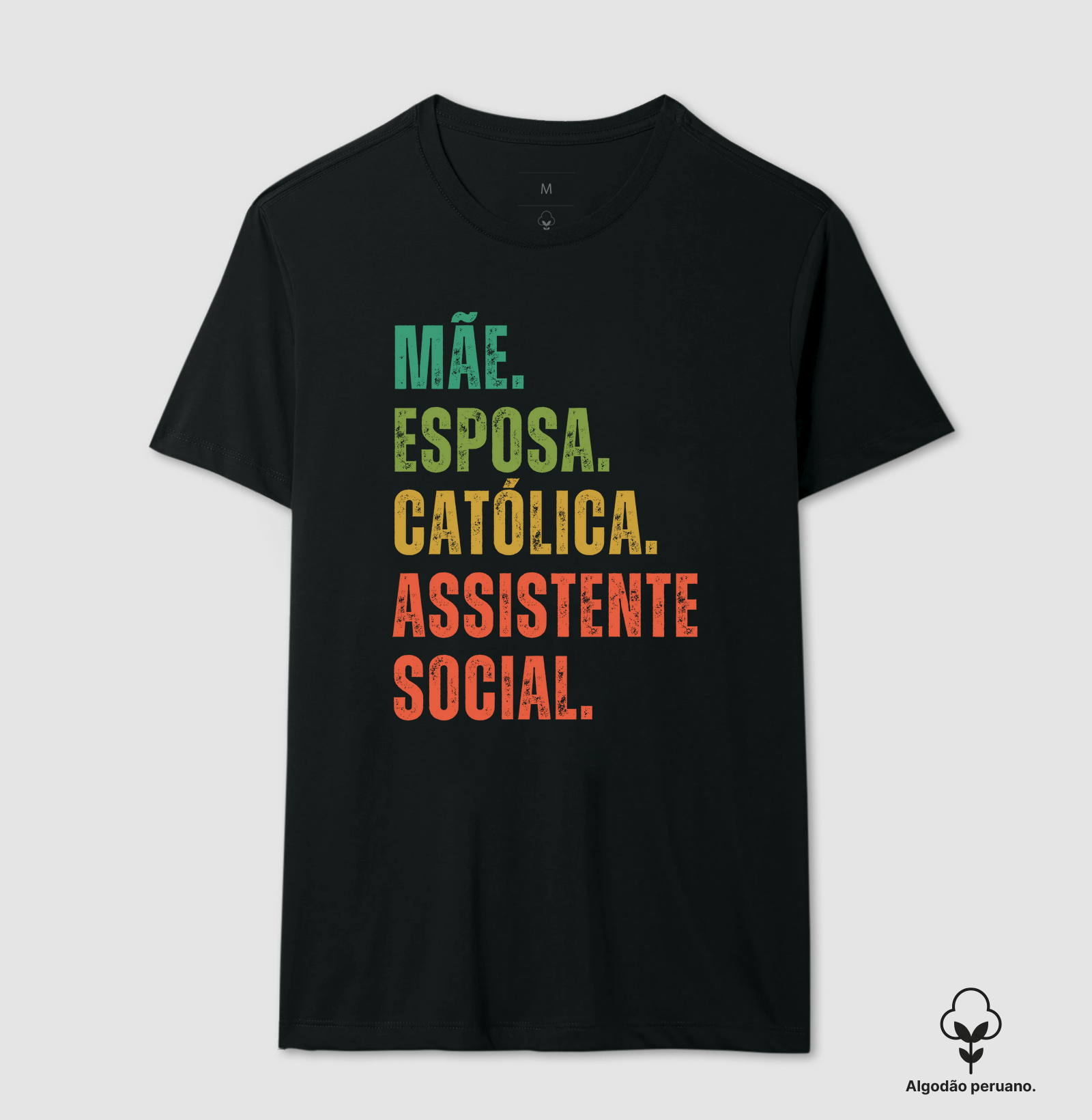 Católica Assistente Social II