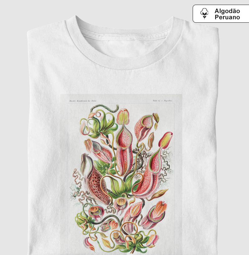 Nepenthaceae