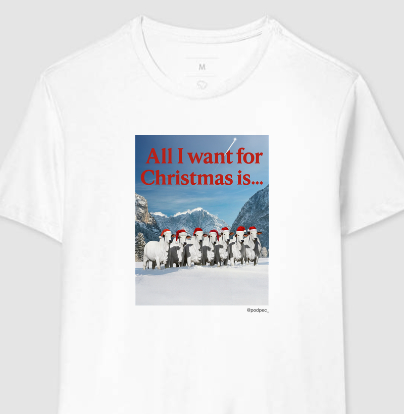 All I Want for Christmas is...