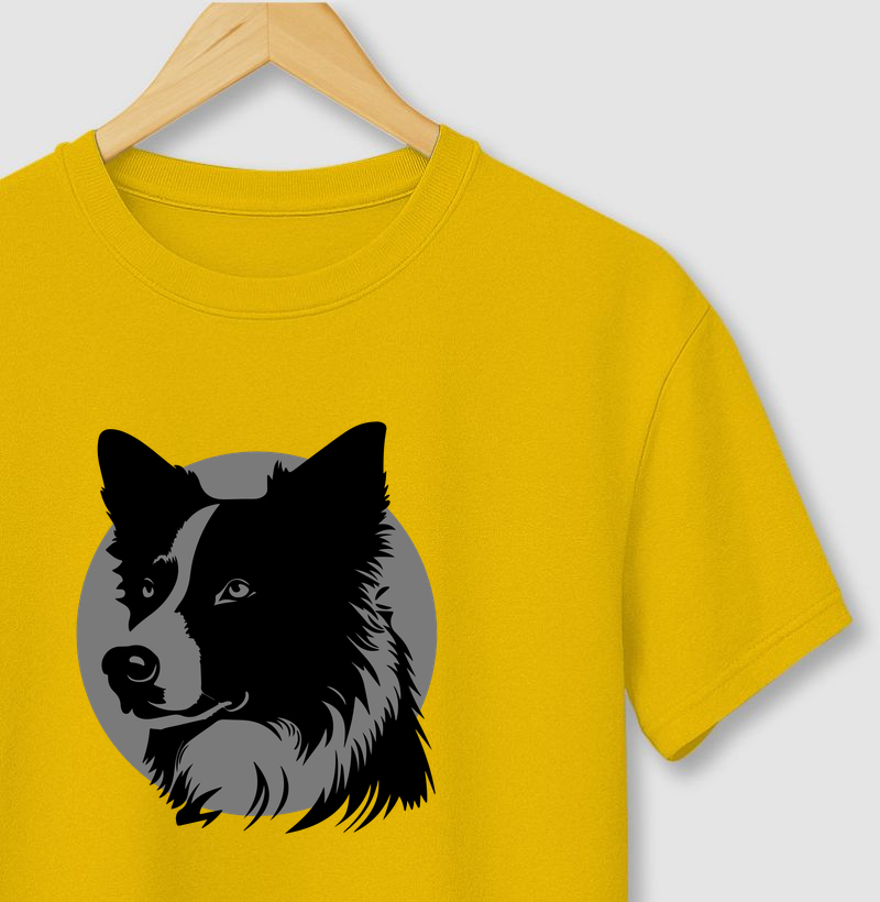 Border Collie fundo cinza