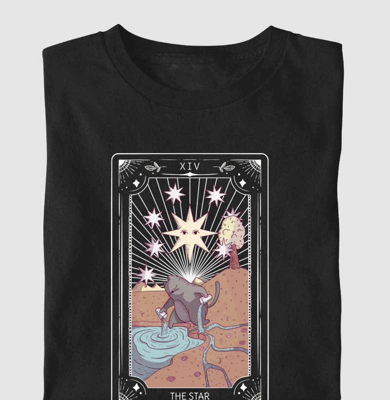 THE STAR - XIV
