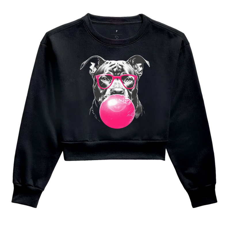 Pit bull bola de chiclete