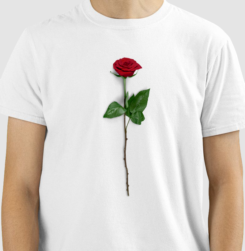 Rosa