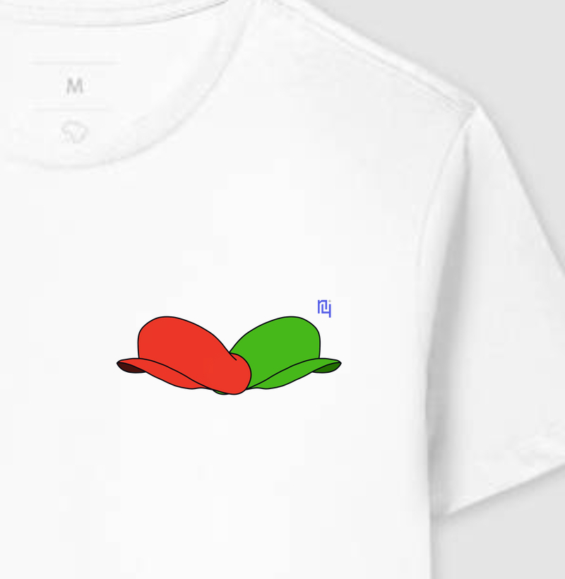 Mario e Luigi