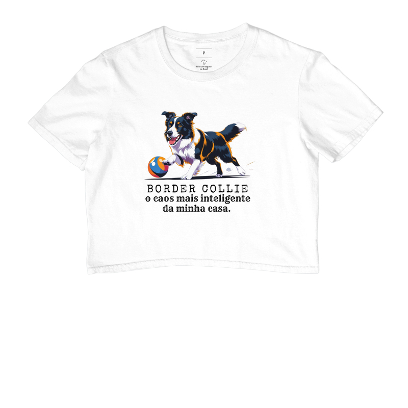 Border Collie, o caos mais inteligente da minha casa!