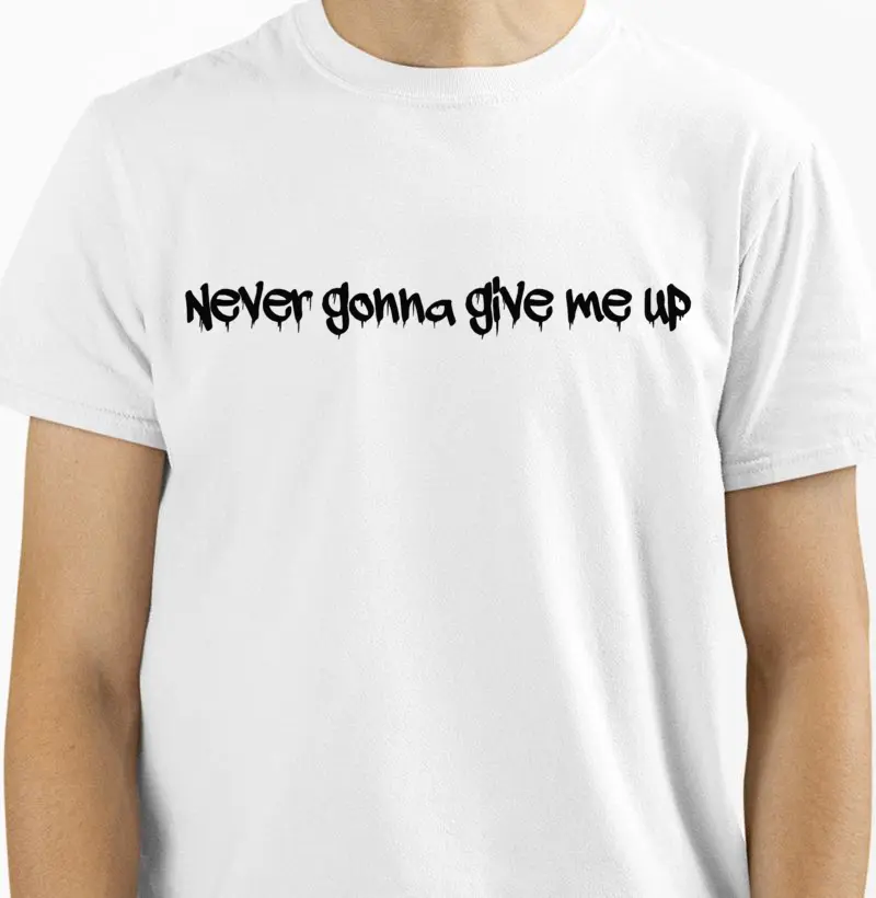 NEVER GONNA GIVE ME UP - 2