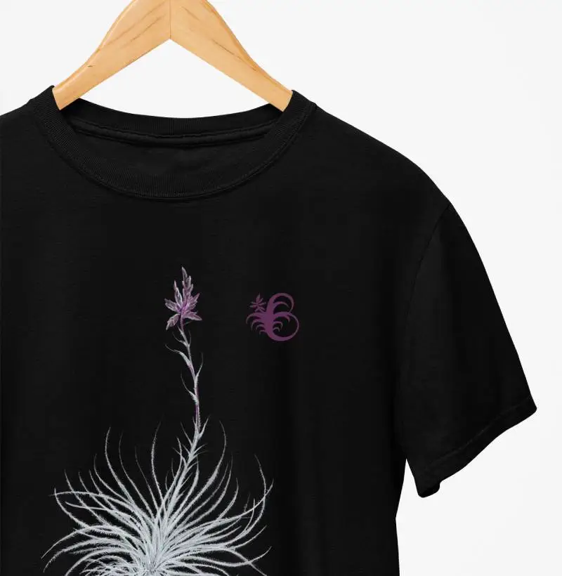 TECTORUM