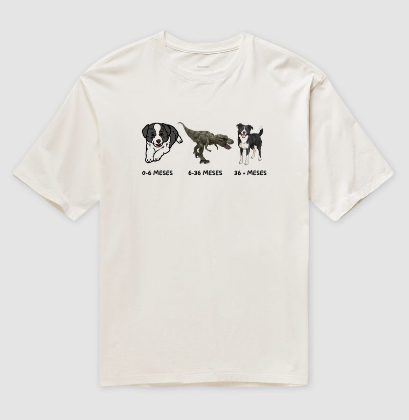 A evolução do border collie