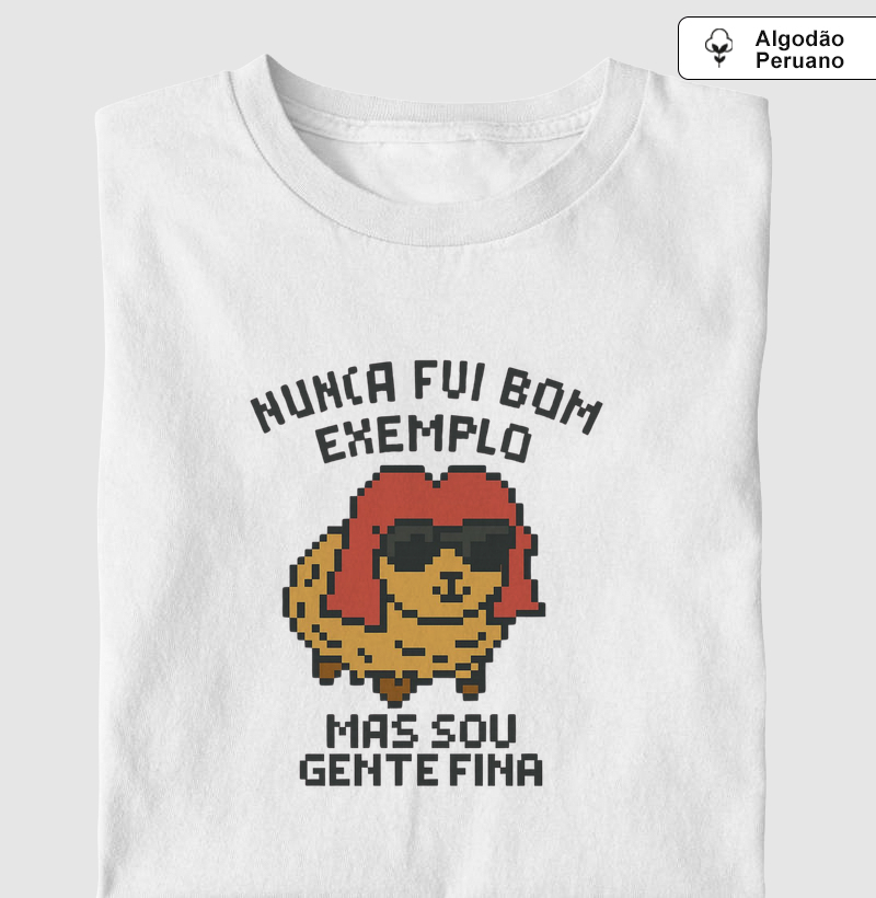 nunca fui bom exemplo, mas sou gente fina (rita lee)