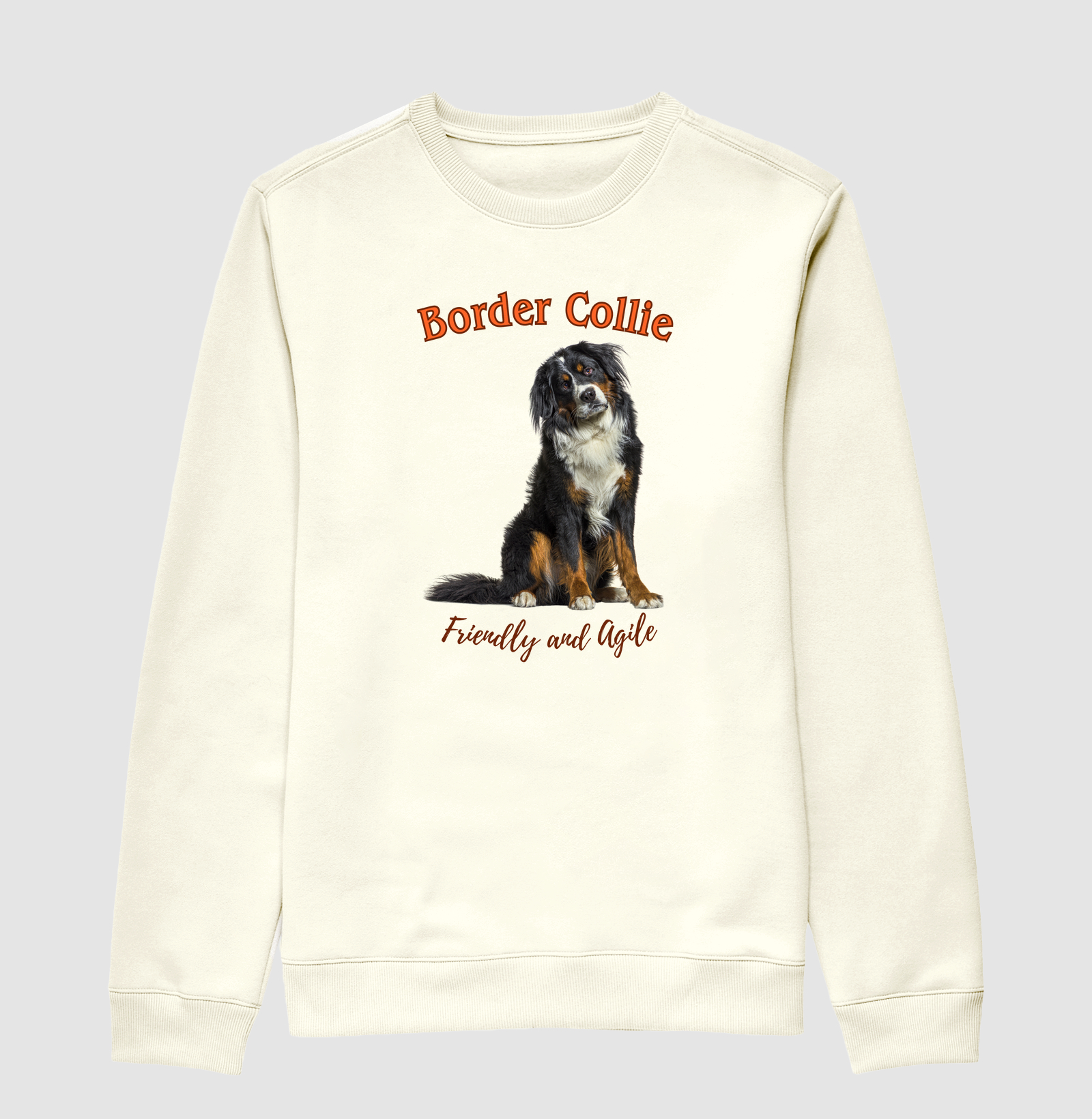 BORDER COLLIE