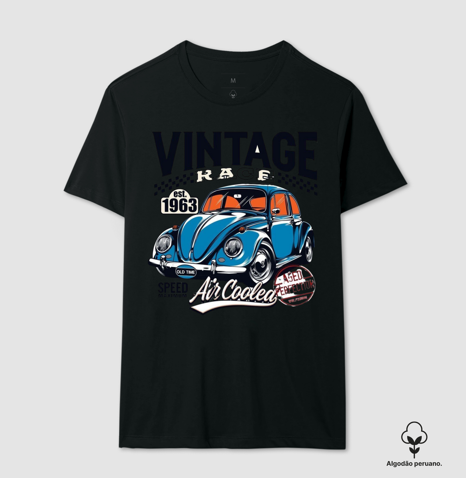 Vintage Race