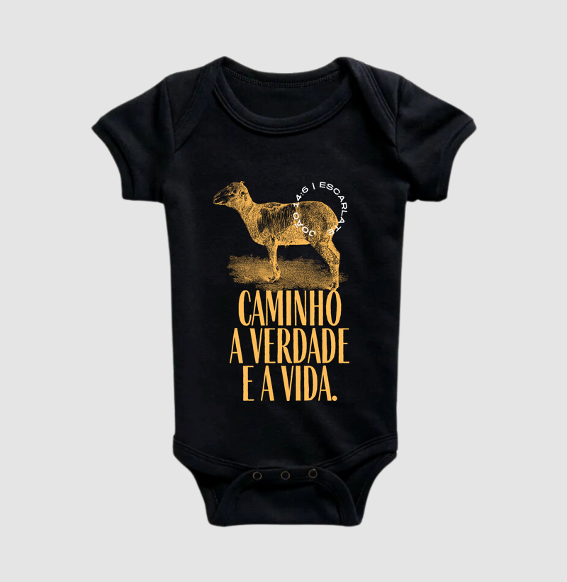 O CAMINHO, A VERDADE E A VIDA