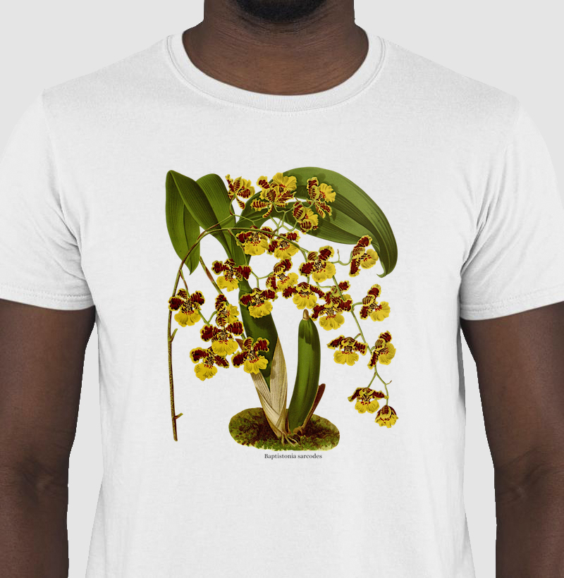 Camiseta Baptistonia sarcodes