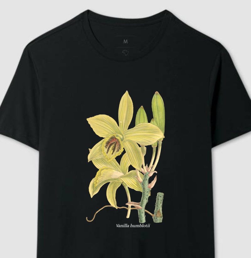 Camiseta Vanilla humblotii t-shirt