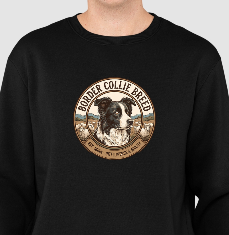 Border Collie | Intelligence and Agility