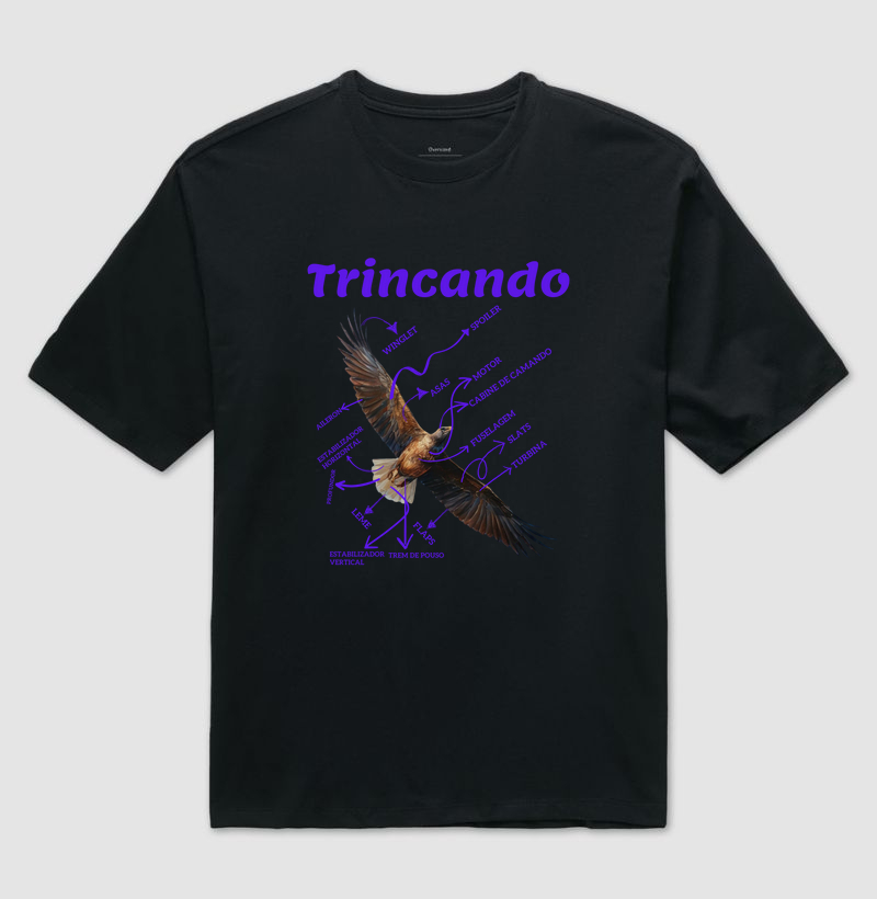 Trincando de aviação