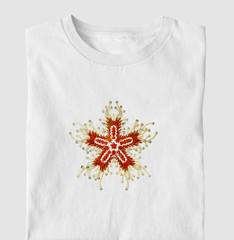 Estrela do Mar